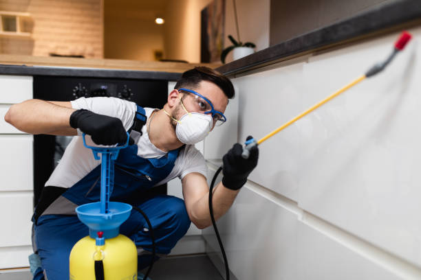 Best Mosquito Control Services  in Marlene Village, OR
