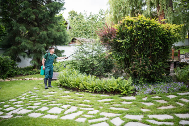 Best Pest Control Near Me in Marlene Village, OR