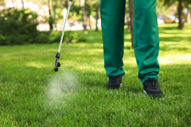 Best Flea Control Services  in Marlene Village, OR