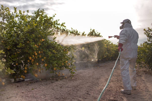 Best Ant Control Services  in Marlene Village, OR