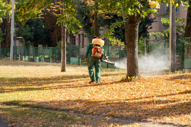 Best Pest Removal Services  in Marlene Village, OR