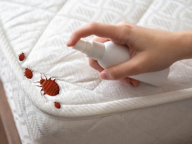 Best Affordable Pest Control Services  in Marlene Village, OR